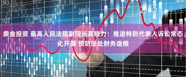 鼎金投资 最高人民法院副院长高晓力：推进特别代表人诉讼常态化开展 预防惩处财务造假