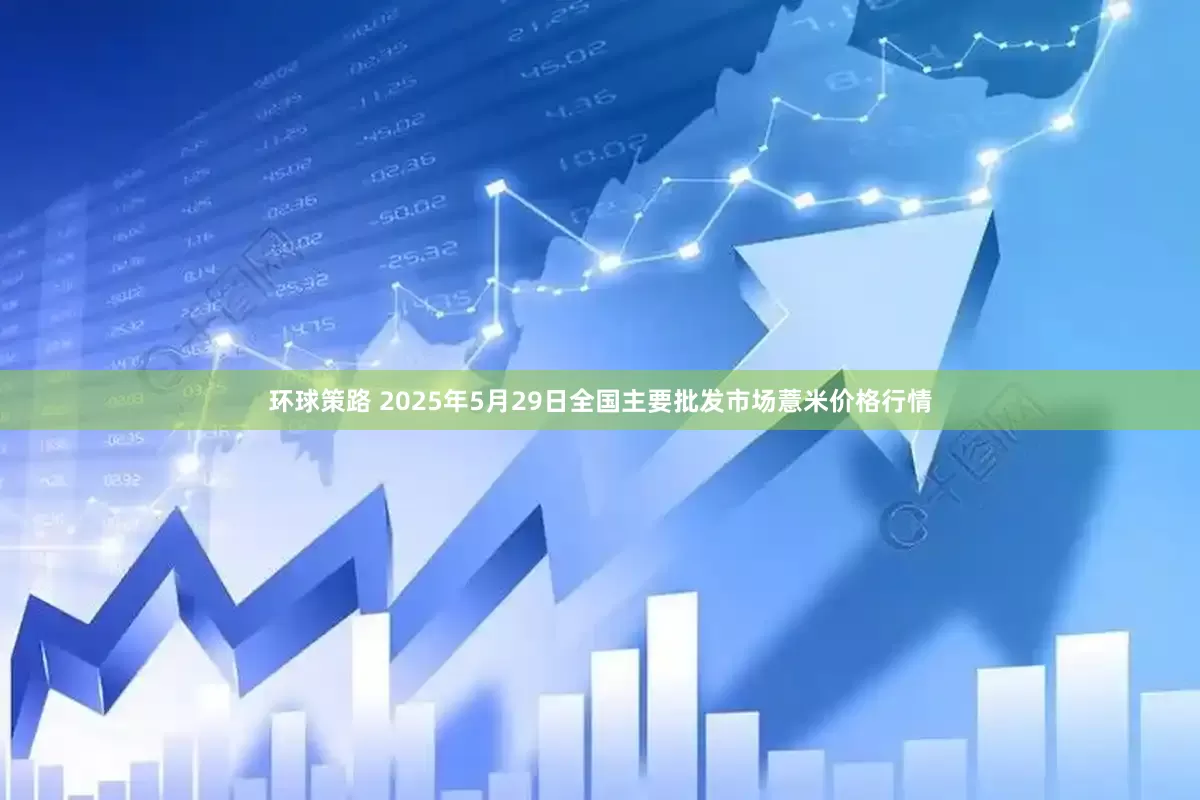 环球策路 2025年5月29日全国主要批发市场薏米价格行情