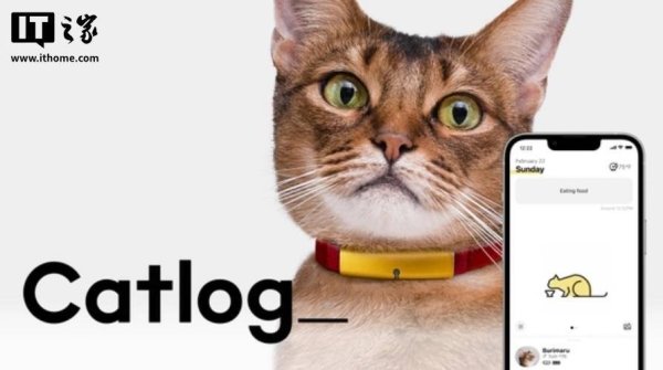 牛客栈 制造商 Rabo 推出 Catlog_ 智能项圈，可监测“压力状态”