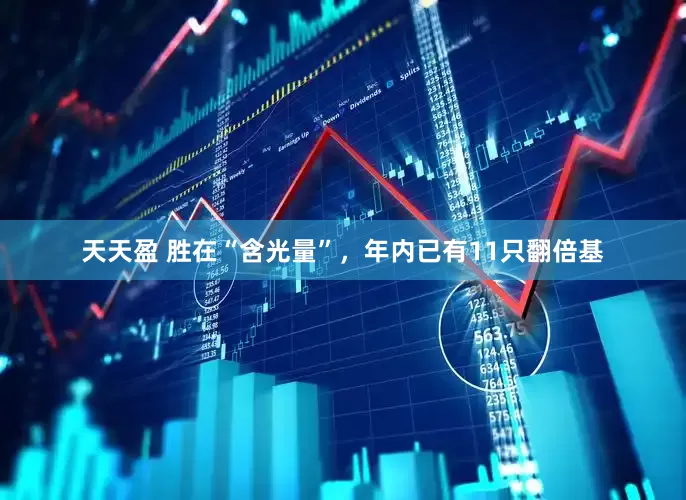 天天盈 胜在“含光量”，年内已有11只翻倍基